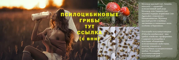герыч Новодвинск