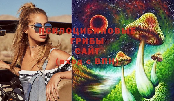 герыч Новодвинск