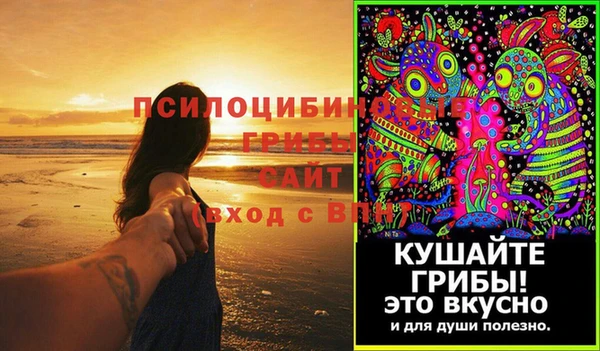 герыч Новодвинск