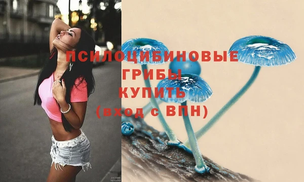 МДМА Новозыбков