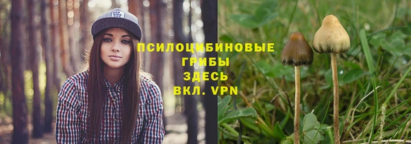 МДМА Новозыбков