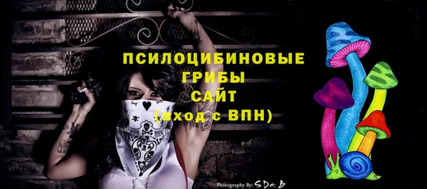 герыч Новодвинск