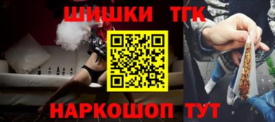 СК Дубна