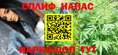 СК Дубна