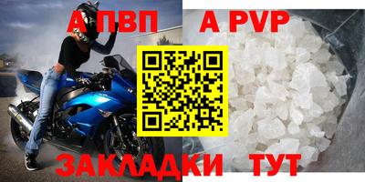 стаф Донской
