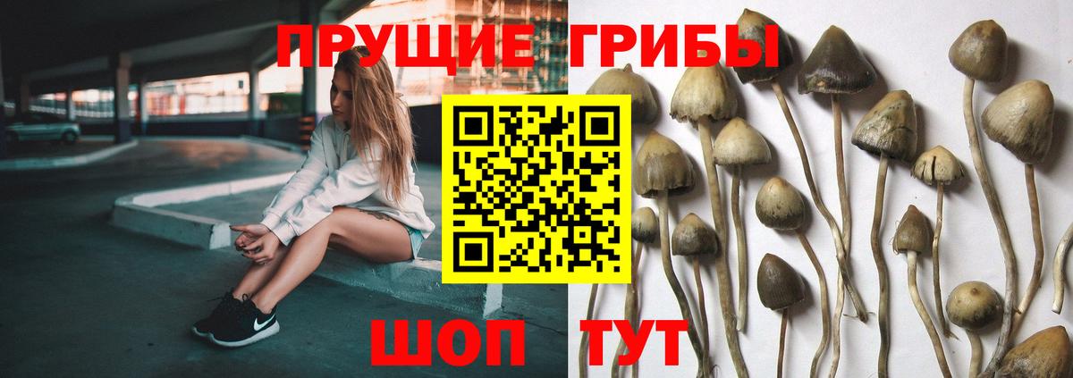 Галлюциногенные грибы прущие грибы  Вход с VPN  Петропавловск-Камчатский 