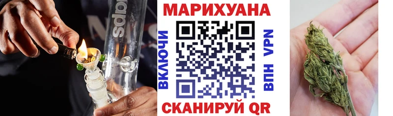MEGA ТОР  Петропавловск-Камчатский  мориарти состав  купить  цена  Каннабис ГИДРОПОН 